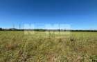 Teren intravilan agricol | 1200€  arul | Suceava - 1