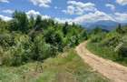 Teren intravilan 3900 mp Porumbacu de Sus, Sibiu - 13