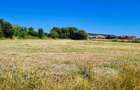 Teren de 4000 mp intravilan in Cristian - 2