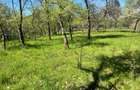 Teren intravilan, Comuna Corbi, Jud. Argeș, toarte utilitatile - 2