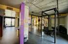APARTAMENT UNIC/CONCEPT HOUSE/DESIGN/SERVICII HOTELIERECOMPLETE/PRIMAVERII(+TVA) - 28