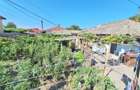 Teren 371 mp curti constructii+casa 5 camere si anexe, zona Izvoare - 21
