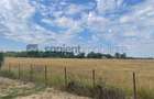 Teren Intravilan 1 ha – Acces Drum Asfalt | Ideal Rezidențial - 1