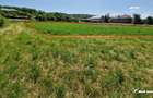 Teren intravilan 2000 mp – Popesti (Baciu) Ideal pentru casă, grădină și livada - 4