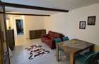 Apartament 2 camere la curte - 2