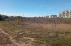 Teren Intravilan 450mp Str Mesteacanuui - 4