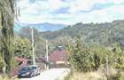 COMISION 0% - Casa cu view specataculos, D+P+M 236mp teren 436mp Campulung Arges