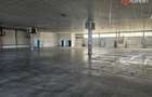 COMISION 0% Spatiu depozitare 1400 mp de inchiriat, zona Calea Lugojului - 3