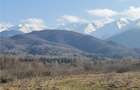 Teren intravilan 2500mp  pe Valea Avrigului,optim casa de vacanta - 4