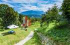 Vilă 340 mp Bran | Teren 5500 mp | 6 dormitoare cu băi proprii - 21