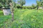 VILA CU 14 CAMERE SI 3405 MP TEREN IN SANMARTIN - 8