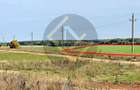 Teren 9Ha -> 16Ha Ha Intravilan , Exit A3 Snagov Ghermanesti Bucuresti-Ploiesti - 4
