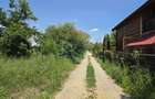 Lot casa Izvorani / Strada Complexul Olimpic - 1