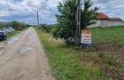 Teren Intravilan (7500 mp),situat in Balesti - Tamasesti - 5