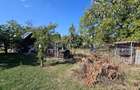 0 % comsion, Casa in zona de exceptie, teren 722 mp, Gheorgheni