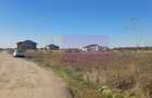 Săbăreni, teren rezidential 6290 mp, cu 52m FS, utilitati in apropiere - 4