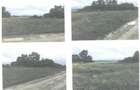 Teren 3500 mp strada Jalcau, Radauti (Licitatie) - 1