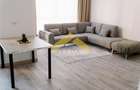 Apartament de inchiriat 3 camere Adora Park - 10