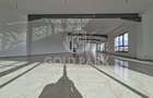 SHOWROOM - Expunere si Vitrina Mare  la Bulevard -Principal- Parcari - 10
