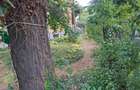 Cotroceni - Elefterie, mansarda duplex, 330 mp, , singur pe etaj, libera - 2