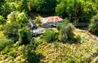 Casă bătrânească cu bucătărie de vară, 100 mp, teren 3.000 mp, zona Raducaneni - 3