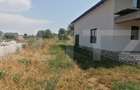 Oază de Liniște și Confort Familial la 10 Minute de Alba Iulia - 3