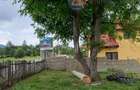 Oportunitate! Teren 10.669 mp în Moieciu de Jos –Natură Pură, Potential Turistic - 8