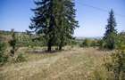 Comision0% Teren recreational 4200mp Vulcan Brasov- curent-asfalt - 13