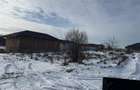 Vand lot de 400 mp2 in domnesti - 7