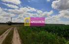 Teren 715mp în Snagov lângă Equestria - 5