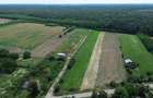 Snagov, Gruiu, Teren Intravilan 8,300 mp, Strada Tobosari - 5