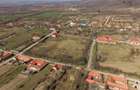 Conac nobiliar de secol XIX cu 8 camere în Maciova - 11