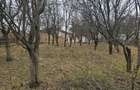 PROPRIETAR-Vand pensiune, Comarnic - 11