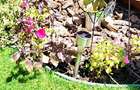 Ap 2cam | 15min M Nicolae Teclu | Centrala proprie | Parcare | Pet Friendly