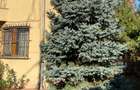 Bucurestii Noi Parc si metrou Bazilescu  P+1+M - 5