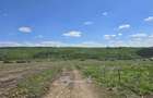 Teren intravial - Valea Lupului 665 m - 3