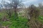 Vilă P+1 în Amara | 1.170 mp Teren | Toate utilitățile | Str. Băilor - 13