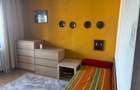 Apartament 4 camere Iancului-Magura Vulturului - 10