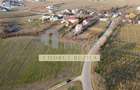 Teren intravilan 2500mp, Bucov - 5