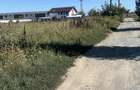 Teren intravilan 3645mp localitate 1 Decembrie zona rezidentiala - 1