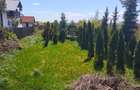 Teren intravilan, 4600mp, zona Francei, Radauti