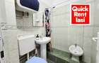 Alexandru Cel Bun Garsoniera De Inchiriat Pentru 1Persoana 250eur - 8