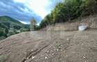 Teren intravilan 1,1 Ha, zona Bargau - 2