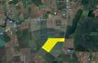 Teren 25.26ha Dascalu / DJ 200 - 3