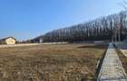 Teren de vanzare in Corbeanca - 3937 mp, amplasat intr-un cartier rezidential. - 2