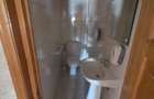 VILA  S+P+2 DE INCHIRIAT - Str. Visinilor, Traian / Unirii - 560 MP - 20