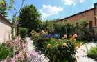 Vila deosebita de vânzare - garaj | 5 camere | Cernica - 17