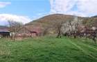 Casa si 3919 mp teren intravilan  in  Bucuresci, jud. Hunedoara - 9