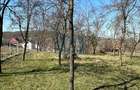 Casă din cărămidă, teren 33 ari, aproape de padure, Manau, Maramureș - 5