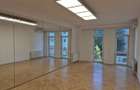 Vila Individuala cu 9 Camere de Inchiriat *Dorobanti* - 23